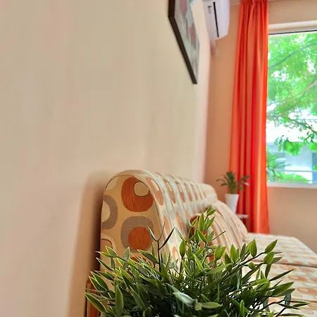 Family House Cherry Nesebar