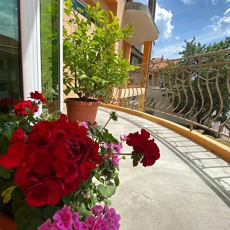 Guest house Family House Cherry