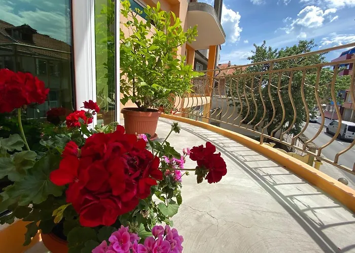 Casa de hóspedes Family House Cherry