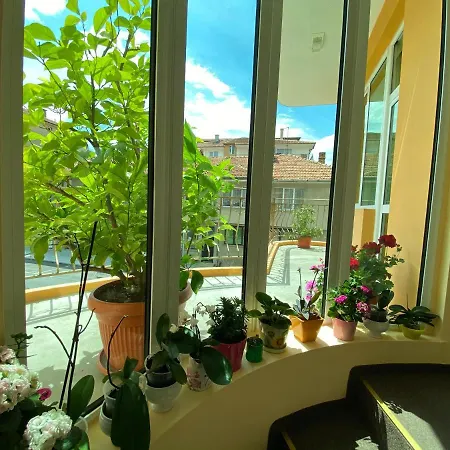 Къща за гости Family House Cherry